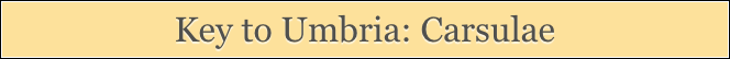 Key to Umbria: Carsulae